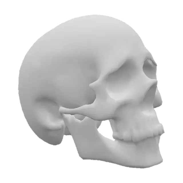3D model for An opal skull. The exquisite carved gemstone showcases a milky, translucent quality, allowing for an internal glow that emanates a full spectrum of radiant, opalescent hues. Fine, hair-thin internal veins catch and refract light, enhancing the shifting rainbow effect that dances across its pointed ends and along its subtly ridged edges. Blues, reds, yellows, greens, all appear like a real opal in the light.