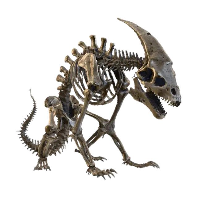 3D model for a warped and twisted horror skeleton of an unknown creature, something like an alien or dinosaur, it is collapsed and resting on the ground, crumbling and falling apart. HR giger style.  long dead. No background. #Halloween2025#
