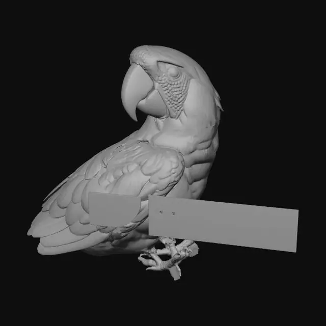 3D model for Scarlet Macaw Close-Up