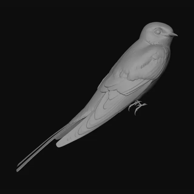 3D model for Barn Swallow on a Rusted Rail