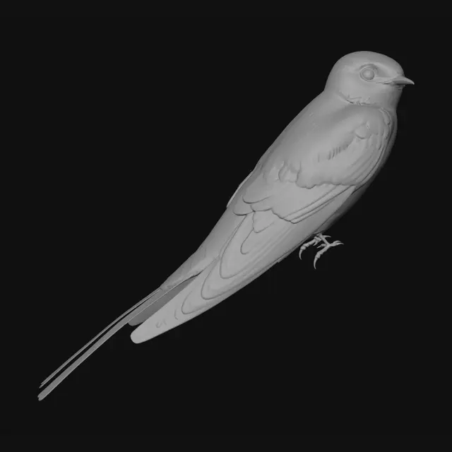 3D model for Barn Swallow on a Rusted Rail