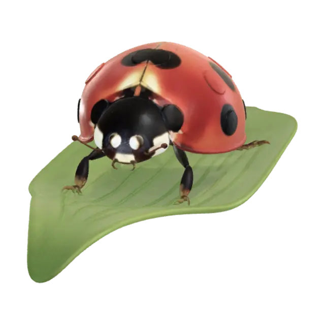 3D model for çok büyük olmayan uğur böceği