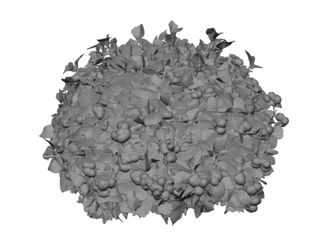 3D model for A berry bush