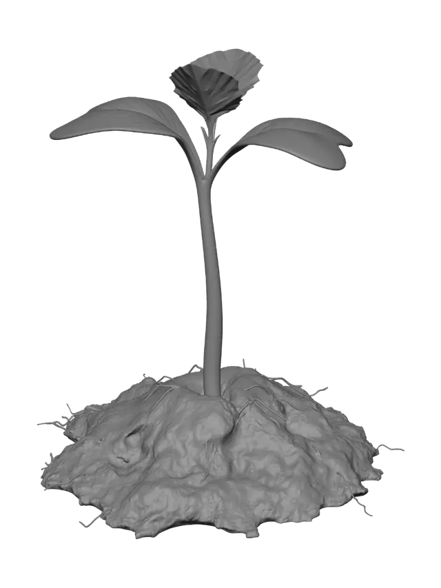 3D model for New Growth