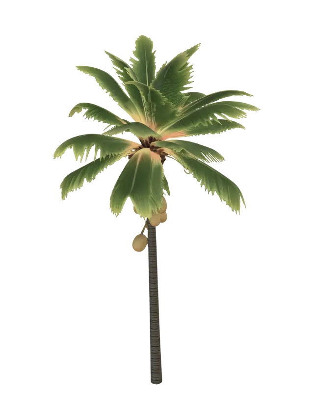 Coconut Tree - Palm 3D model, vytvořený pomocí AI