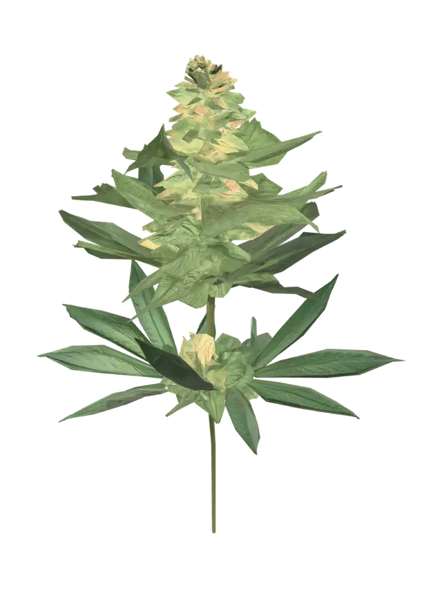 Lemon Kush - Stems 3D model, vytvořený pomocí AI