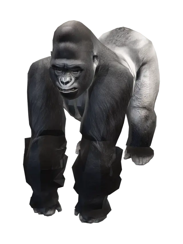 3D model for Gorilla Stance