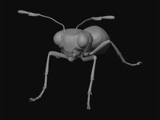 3D model for A trippy small ant