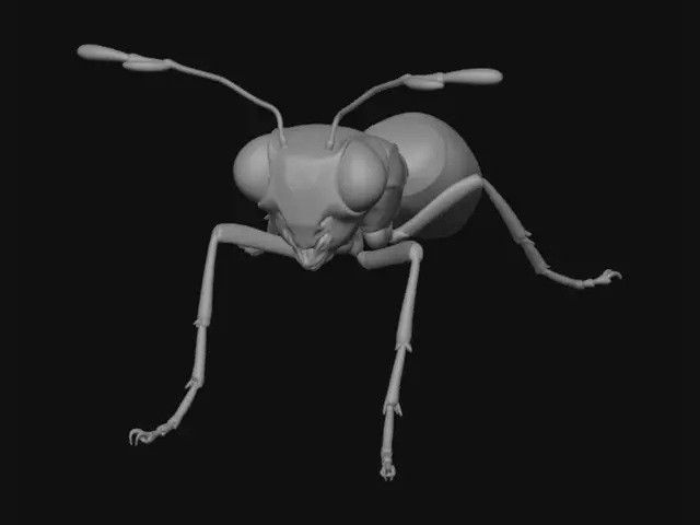 3D model for A trippy small ant