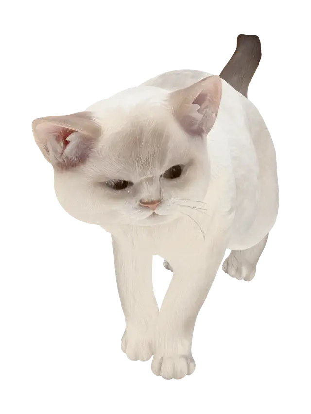 3D model for Curious White Cat in a Modern Living Room