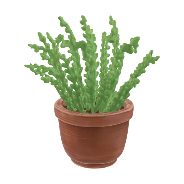 3D model for Curly Fern in a Terracotta Pot