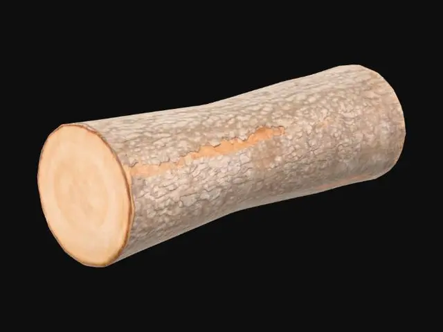 3D model for Smaller log