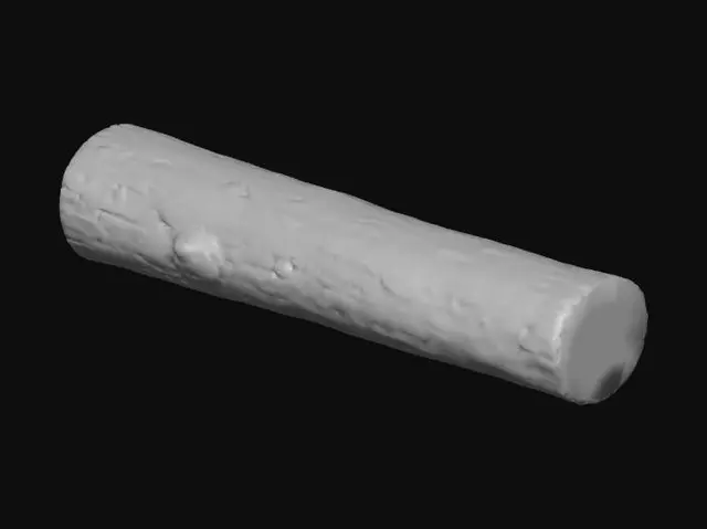 3D model for Meshy_AI_Weathered_Log_0427212416_generate