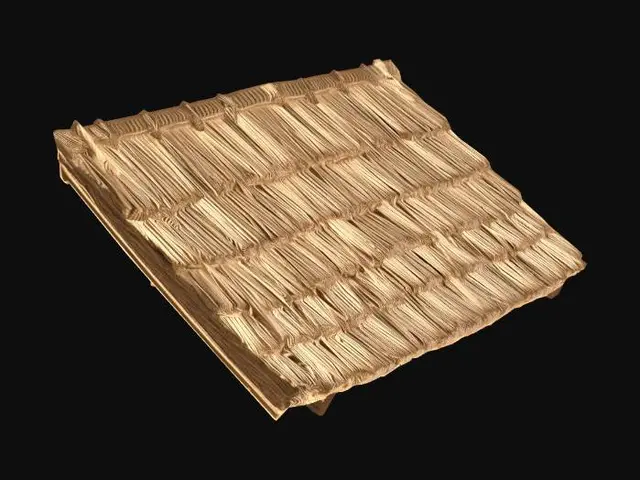 3D model for Roof