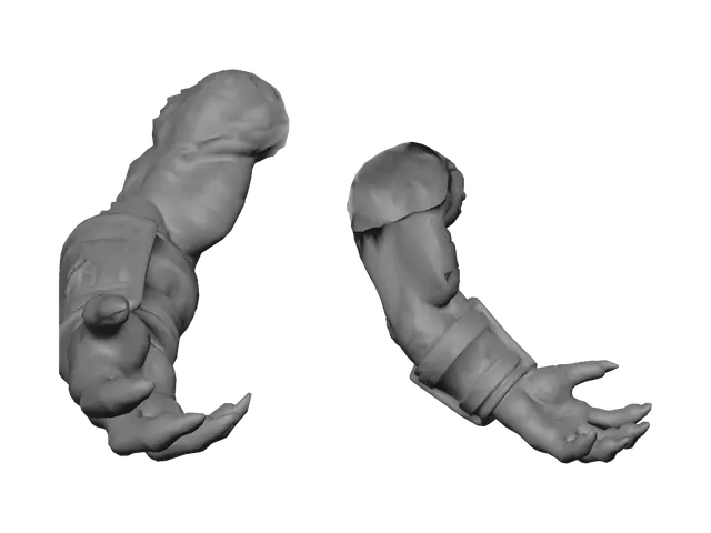 3D model for arms