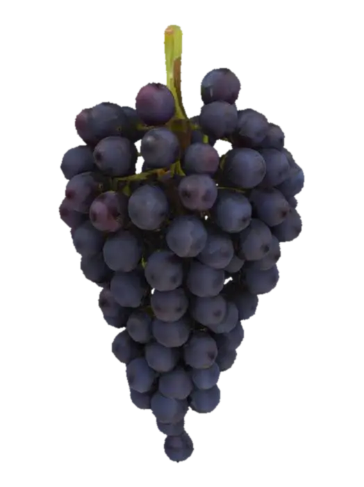 Bunch of grapes - Cluster 3D model, vytvořený pomocí AI
