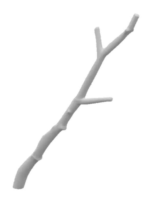 3D model for Branch Silhouette, #PBR#