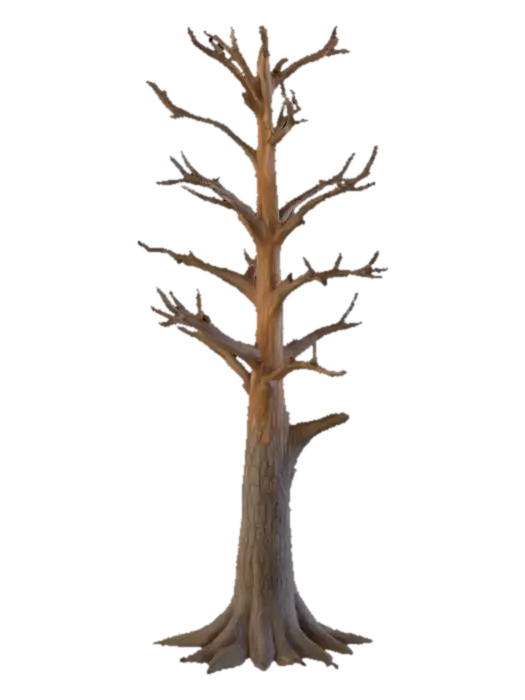 3D model for pine tree