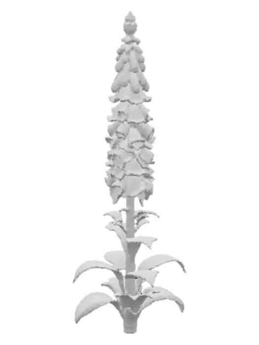 3D model for Foxglove Blossom