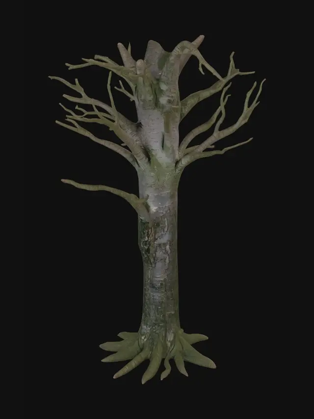 3D model for Tall oak tree