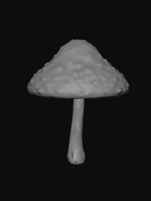 3D model for mushroom