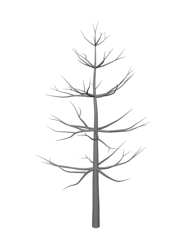 3D model for Pine_tree
