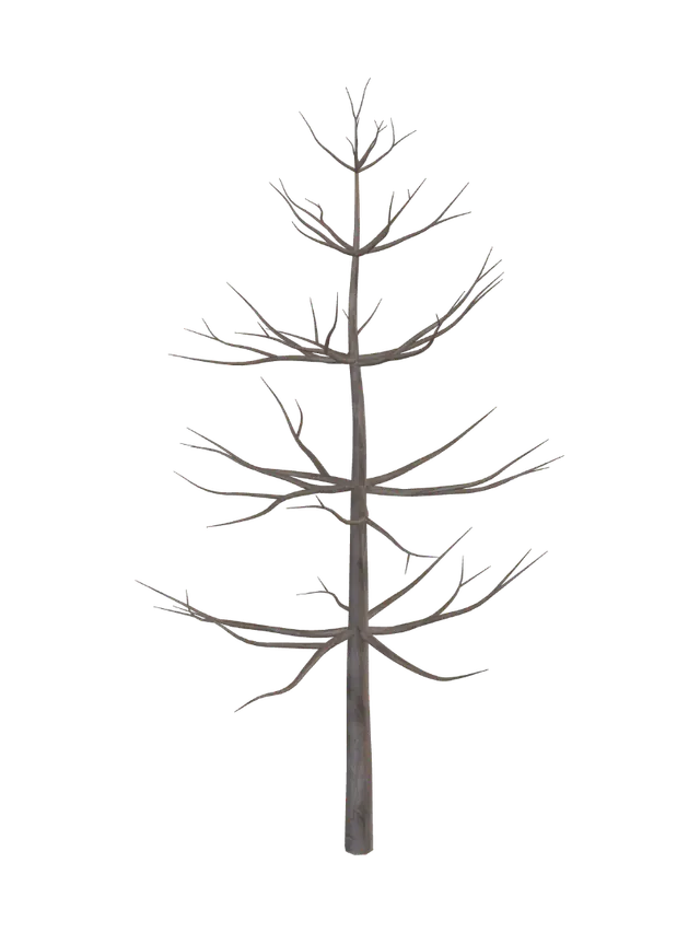 3D model for Pine_tree