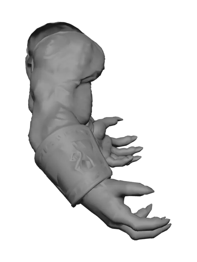 3D model for arms