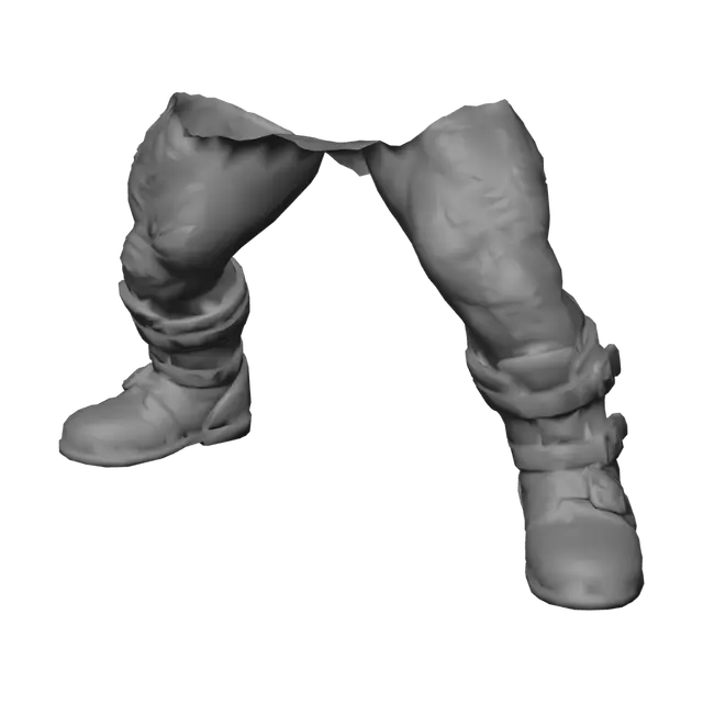 3D model for legs