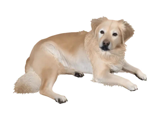 3D model for Sunny Poolside Pup