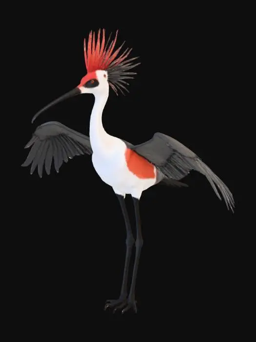 3D model for 3d rigged model of crested ibis bird with long tails and open wing posture