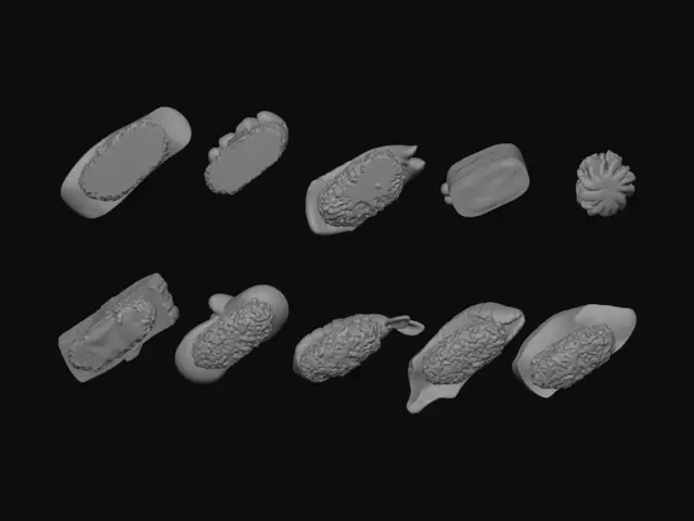 3D model for Ten Nigiri Sushi Varieties