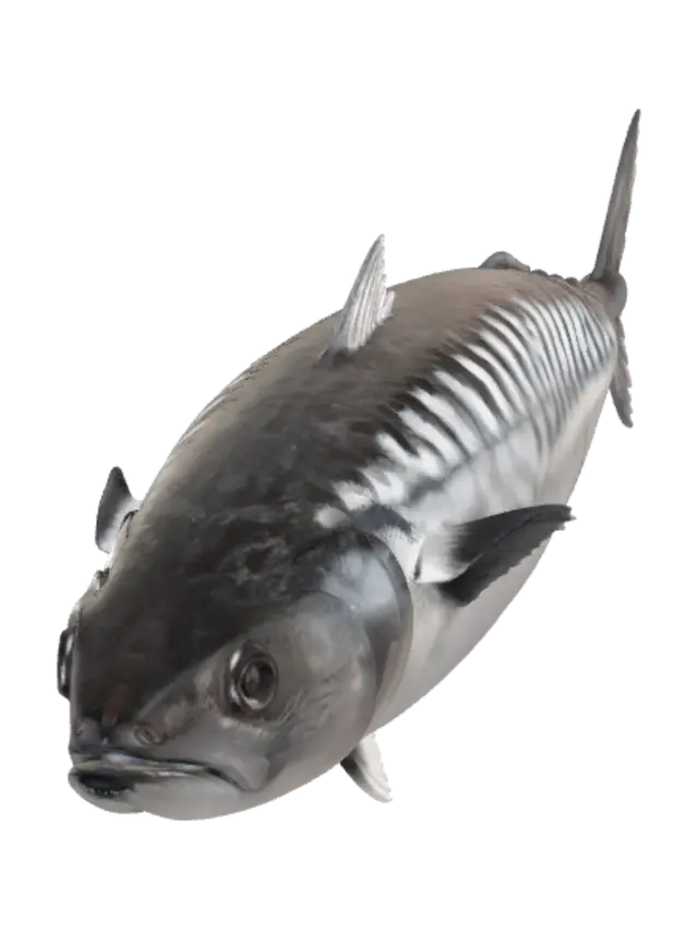 Mackerel 3D model, vytvořený pomocí AI