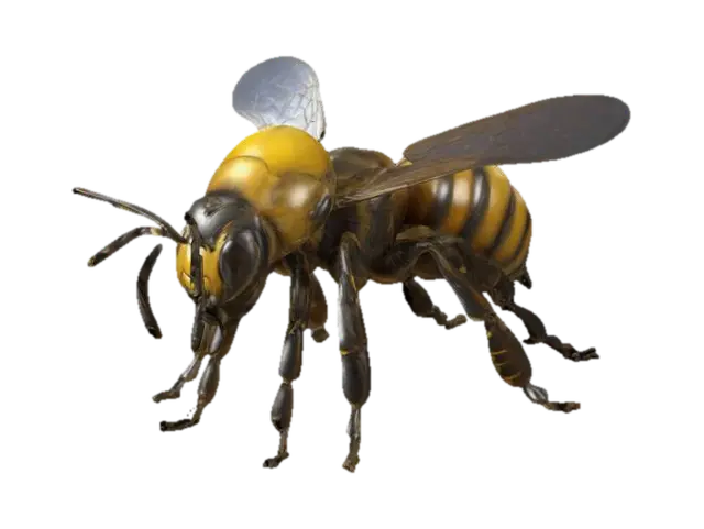 "Create a highly detailed 3D model of a realistic honey bee, with accurate anatomical… 3D model, vytvořený pomocí AI