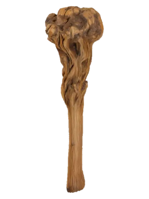Survival Wood Club 3D model, vytvořený pomocí AI