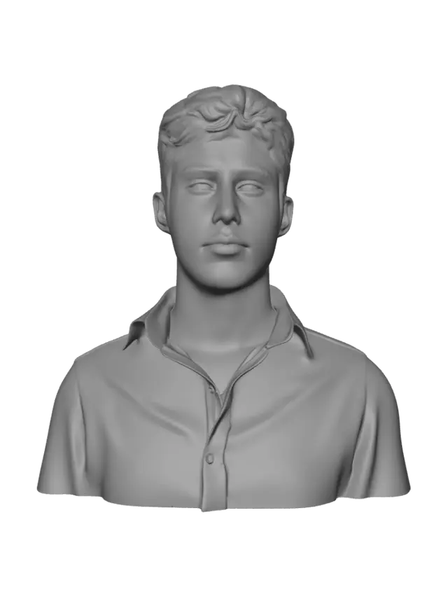 3D model for Portrait of a young man in a black shirt