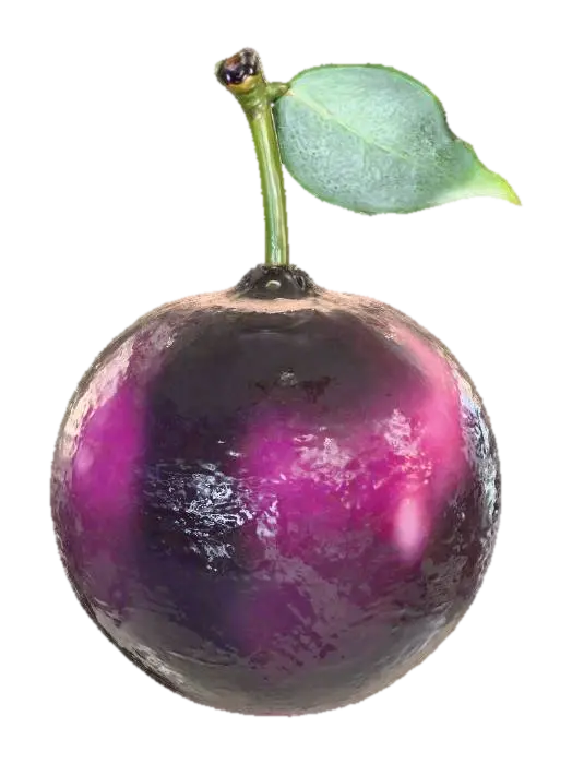 3D model for Purple Delight