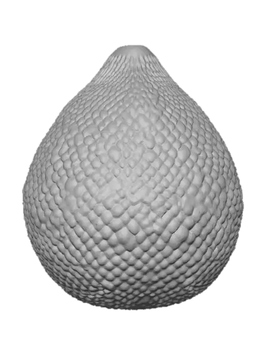 3D model for Salak