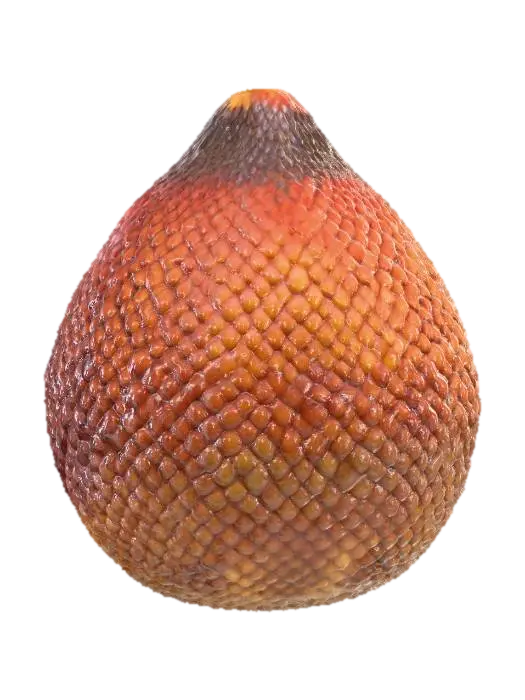 3D model for Salak