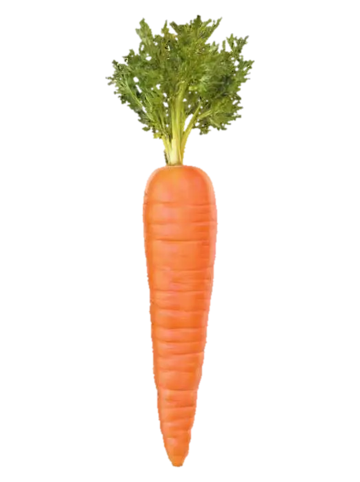 Carrot - Vegetable 3D model, vytvořený pomocí AI