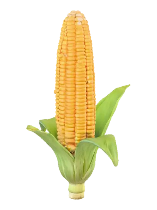Corn - Harvest 3D model, vytvořený pomocí AI