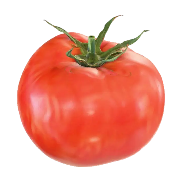 Tomato - Vegetable 3D model, vytvořený pomocí AI