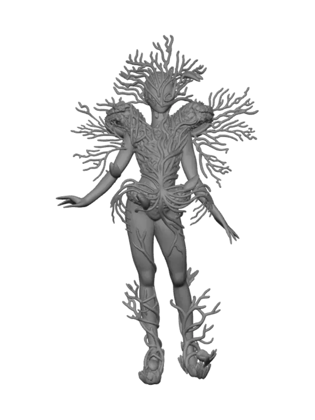 3D model for Coral Sovereign
