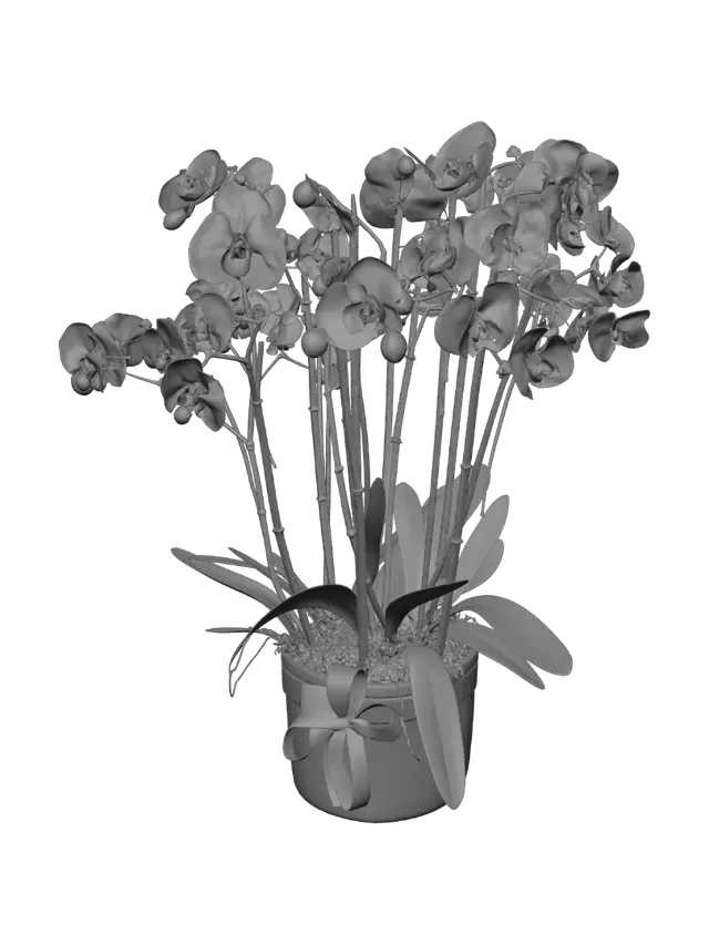 3D model for White orchid arrangement with teal ribbon