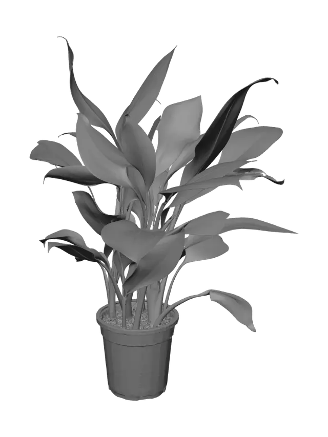 3D model for Variegated Leaf Plant in a Blue Pot
