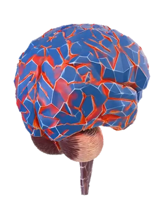 Brain Mosaic - Humanbody 3D model, vytvořený pomocí AI