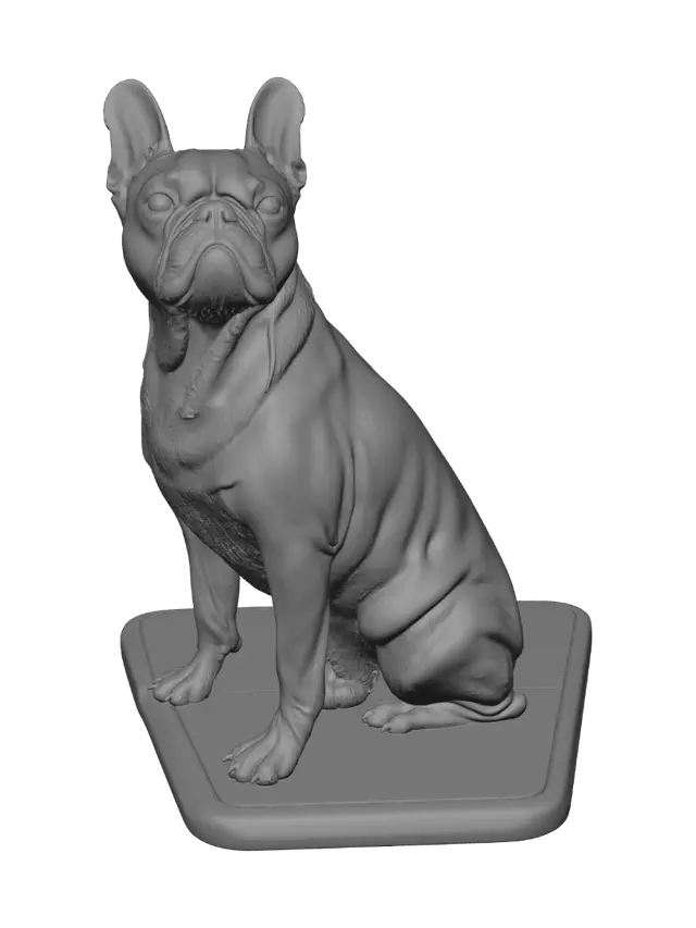 3D model for Blue Wall Pug Portrait