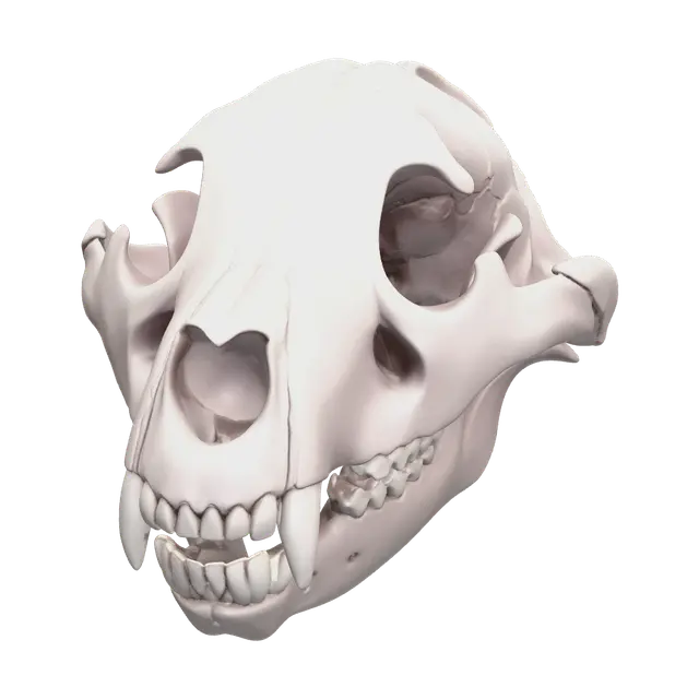 Stylized Bear Skull - Bearskull 3D model, vytvořený pomocí AI