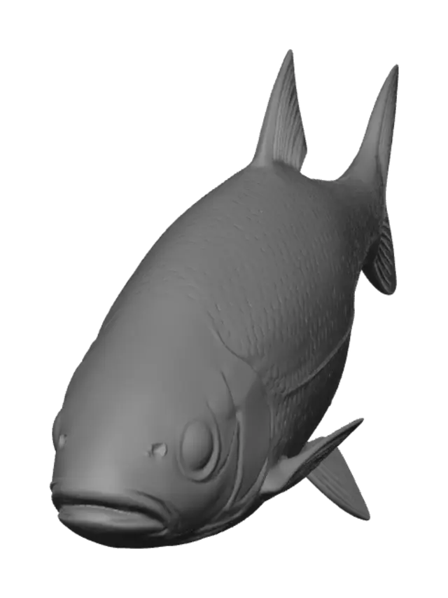 3D model for Monochrome Carp