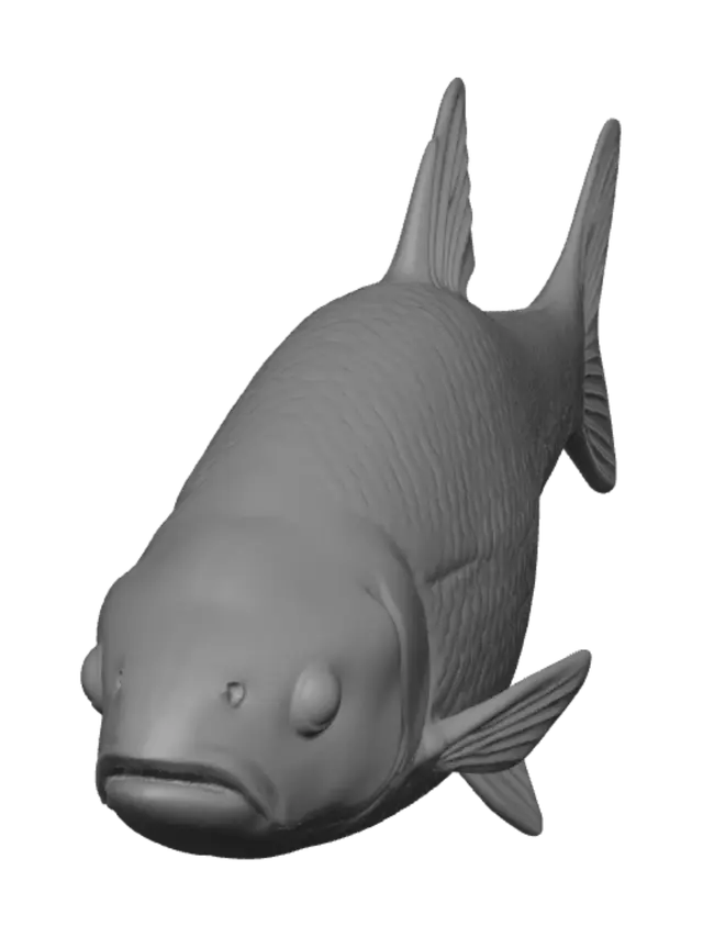 3D model for Monochrome Carp